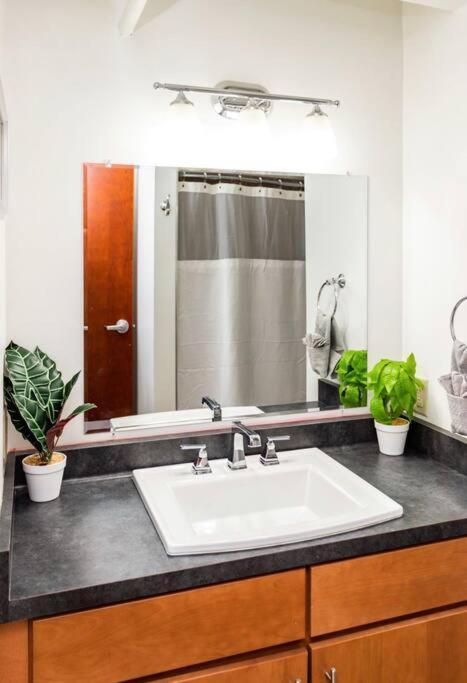 Centric Modern Loft W/ King Beds Διαμέρισμα Ρότσεστερ Εξωτερικό φωτογραφία